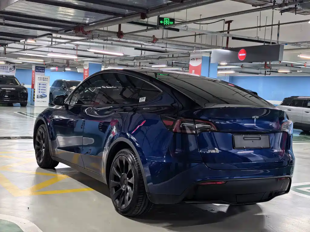 Tesla Model Y — миниатюра 4