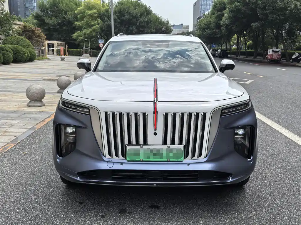 Hongqi E-HS9 — фотографии объявления, Фото 7
