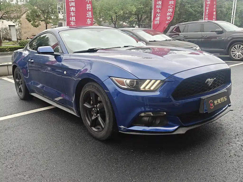 Ford Mustang — миниатюра 2