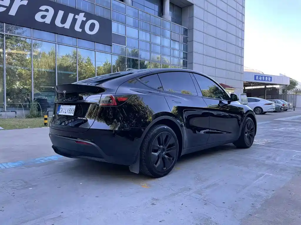 Tesla Model Y — миниатюра 3