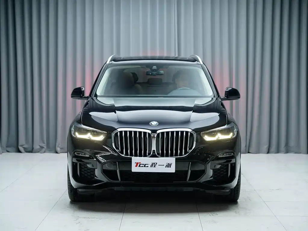 BMW X5 (Import) — миниатюра 2
