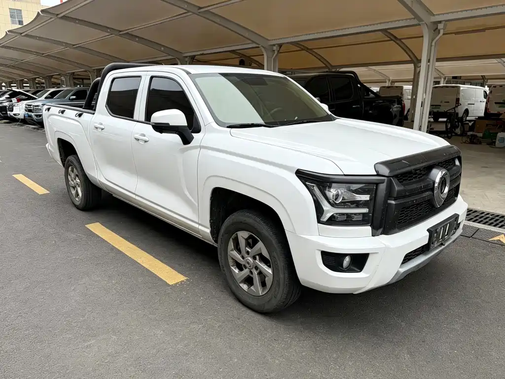 Great Wall King Kong Pao — миниатюра 3