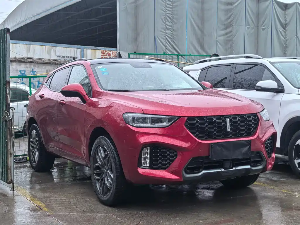 WEI PAI WEI BRAND VV5