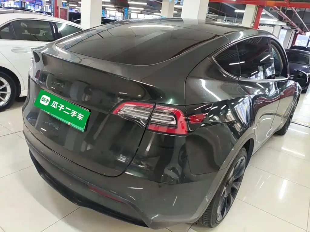 Tesla Model Y — миниатюра 7