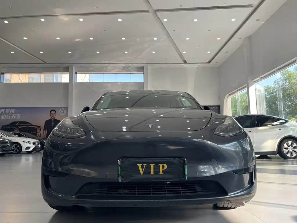 Tesla Model Y — миниатюра 2