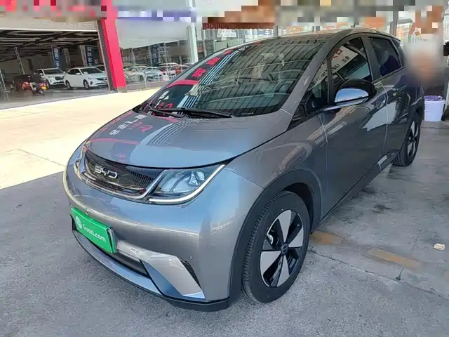 2024 BYD Dolphin