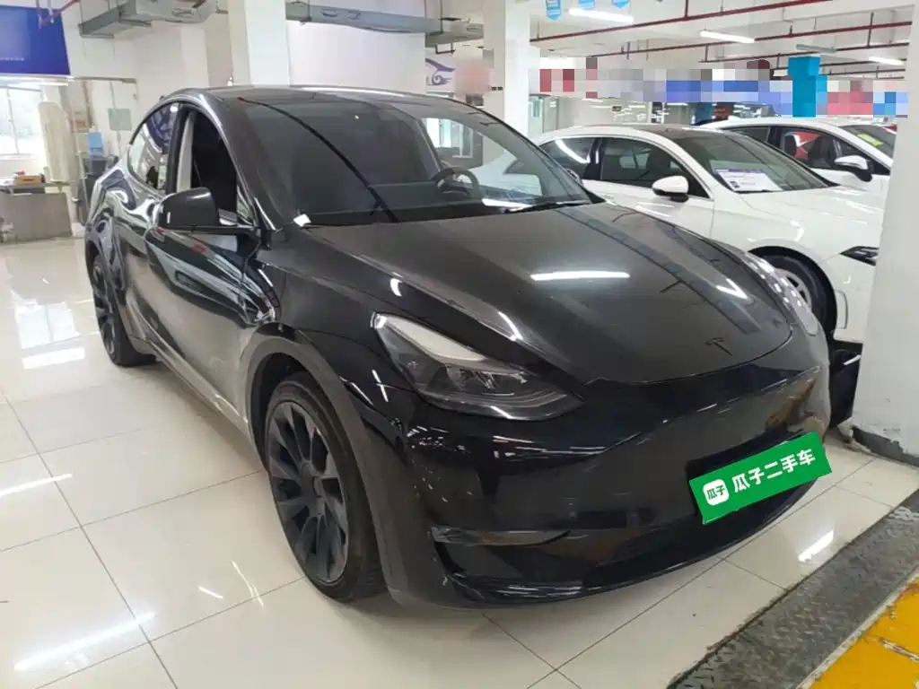 Tesla Model Y — миниатюра 4