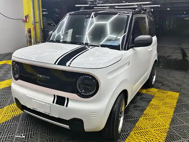 GEELY GALAXY PANDA 2024