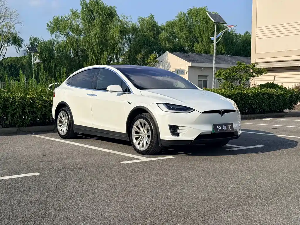 Tesla Model X — миниатюра 4