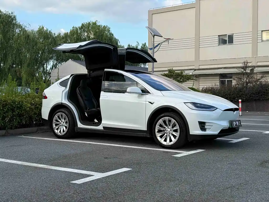 Tesla Model X — миниатюра 5