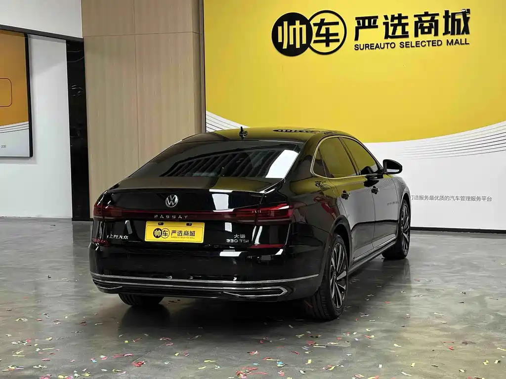 Volkswagen Passat — миниатюра 6