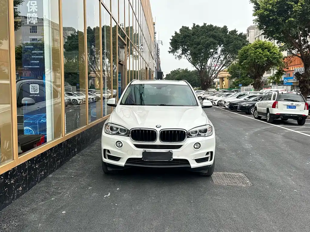 BMW X5 (Import) — миниатюра 2