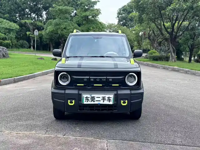 2025 Geely LC (Panda)