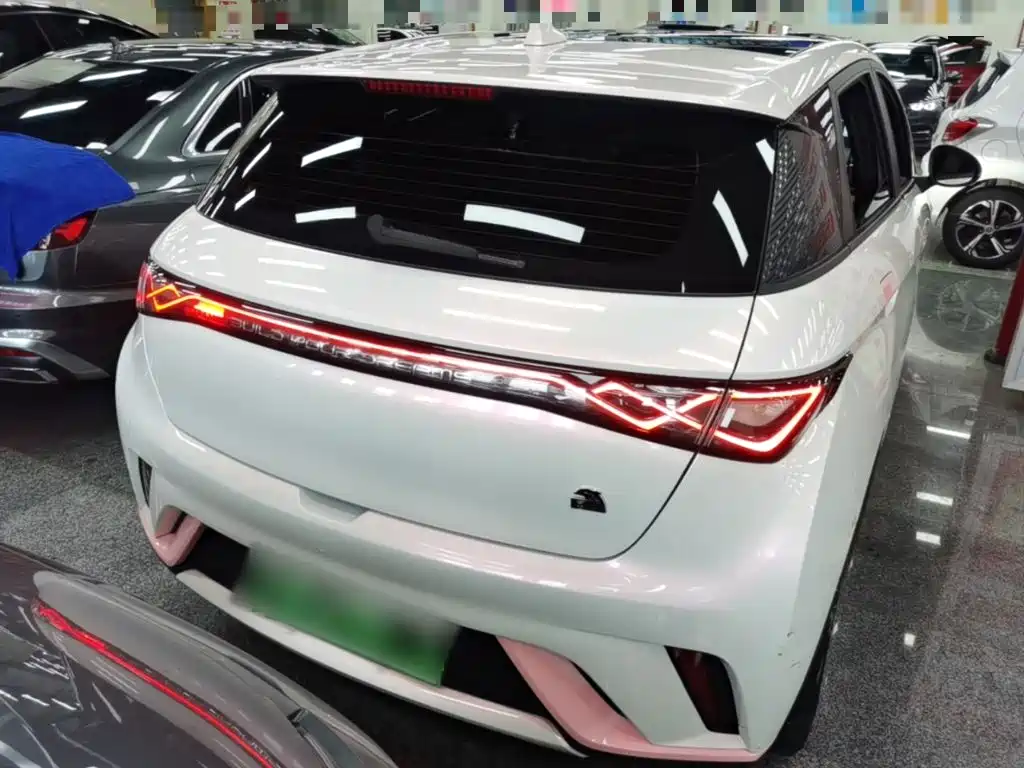 BYD Dolphin 2023 420km Fashion