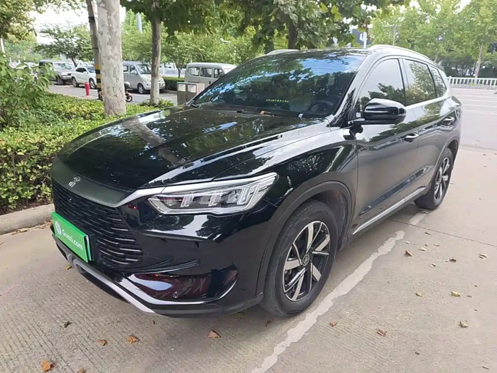BYD Pro New Energy — миниатюра 2