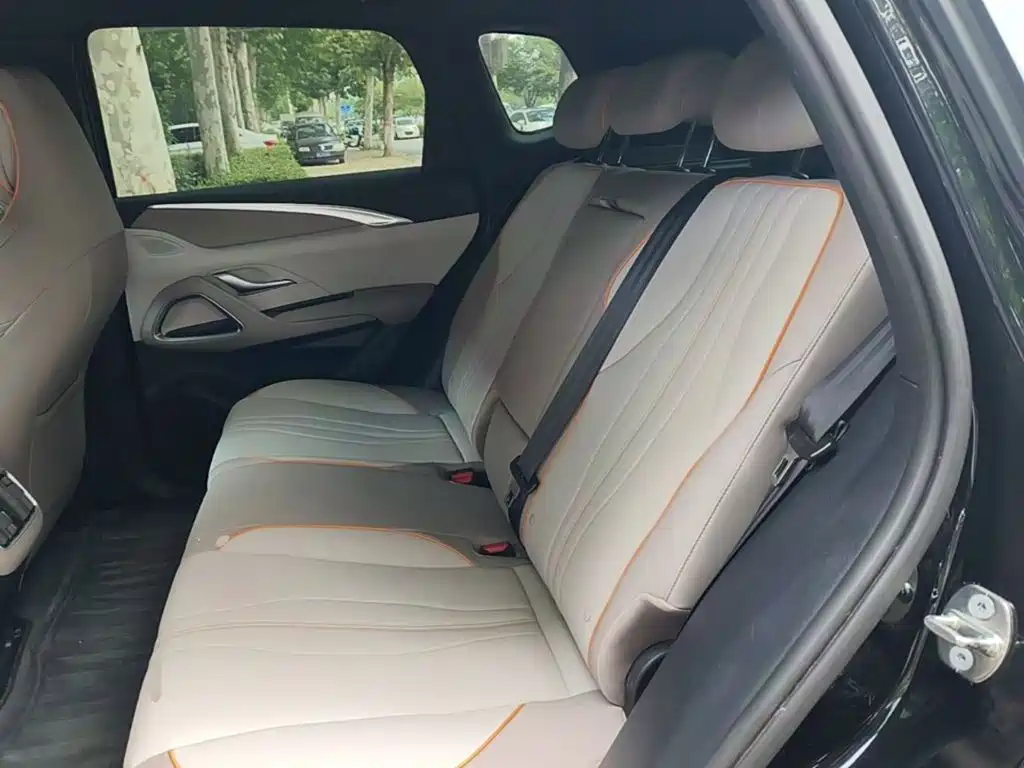 BYD Pro New Energy — миниатюра 17