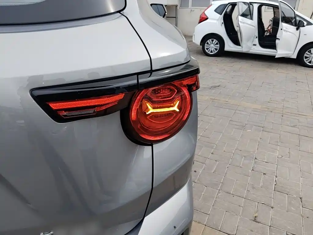 Haval Big Dog PLUS — миниатюра 8