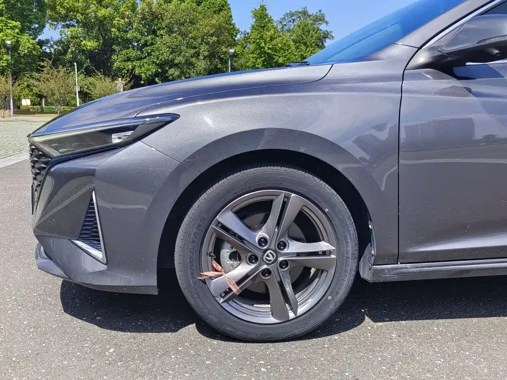 Changan Ruicheng PLUS — миниатюра 19