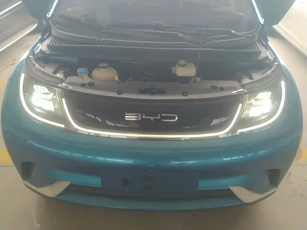 BYD Dolphin — миниатюра 20