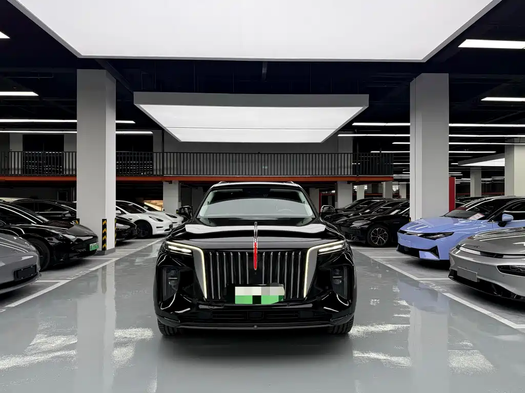 Hongqi Hongqi E-HS9 — миниатюра 2