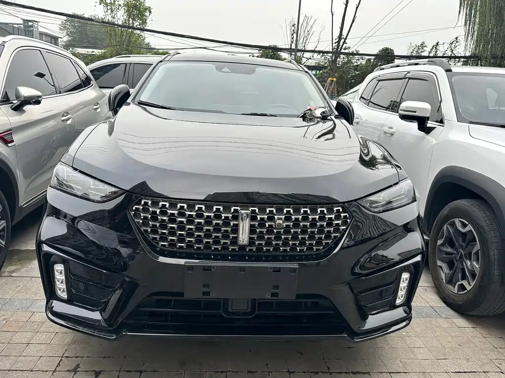 WEI PAI WEI BRAND VV7