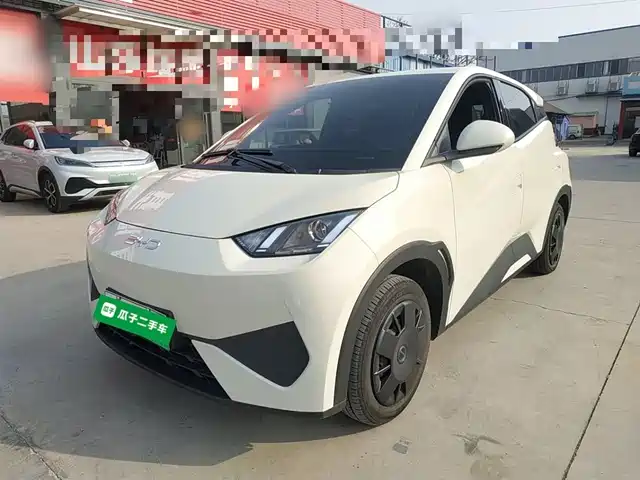2025 BYD Seagull
