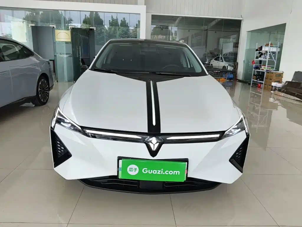 Lingxi Lingxi L — миниатюра 3