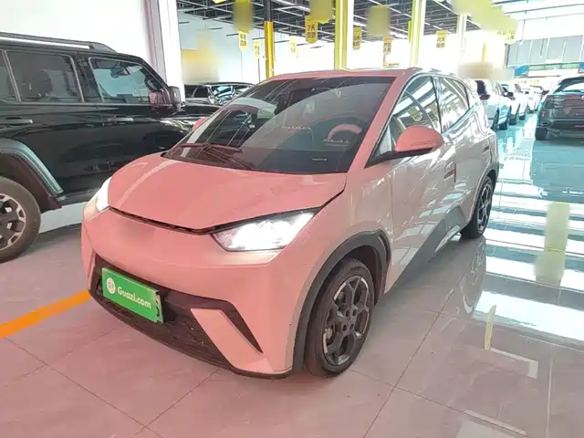 BYD Seagull
