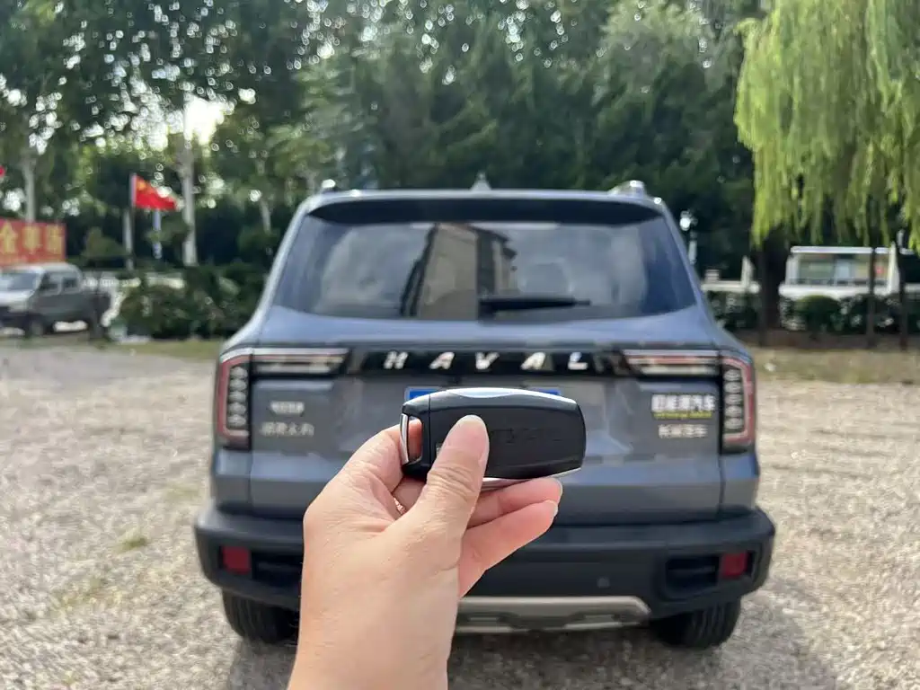 Haval 长城大狗 — миниатюра 18
