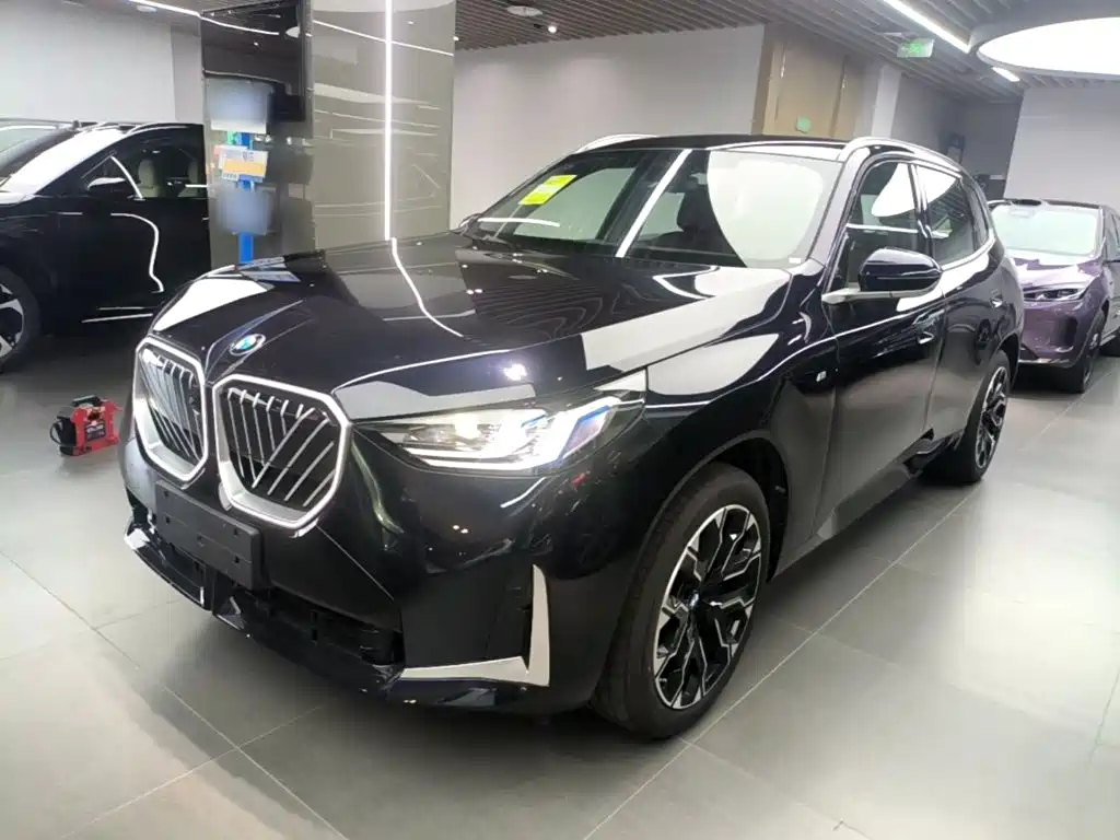 BMW X3 — миниатюра 2