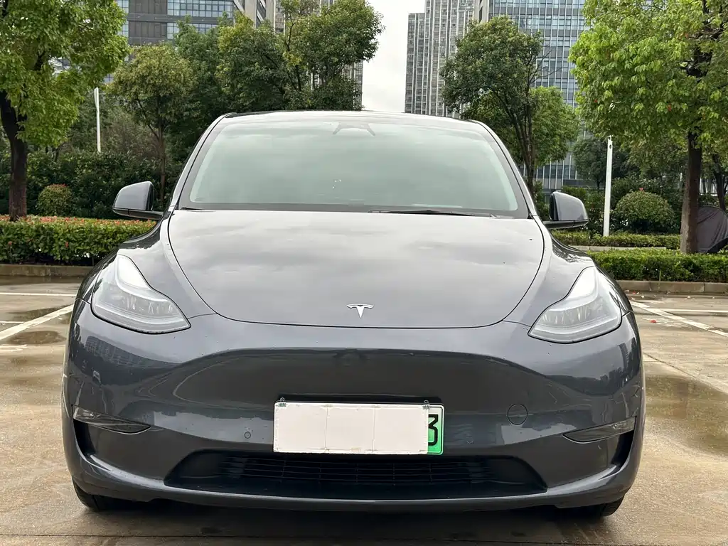 Tesla Model Y — миниатюра 2