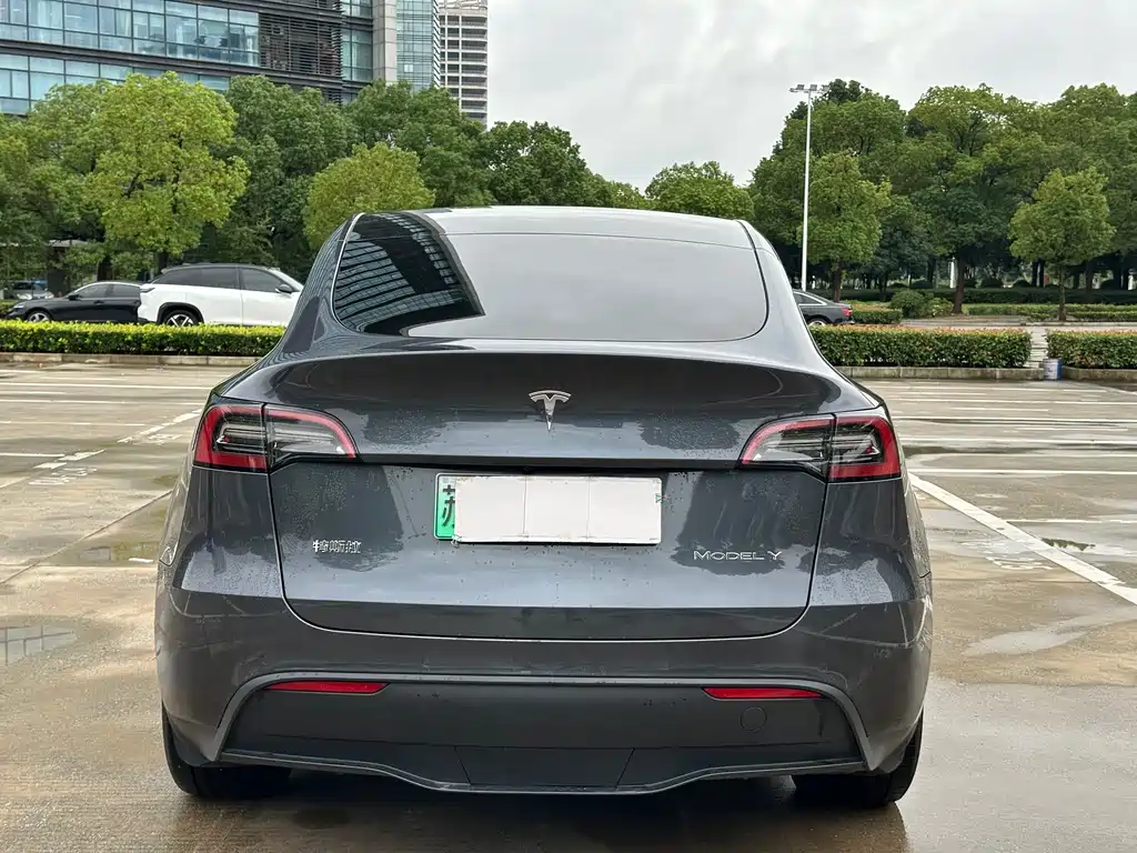 Tesla Model Y — миниатюра 19