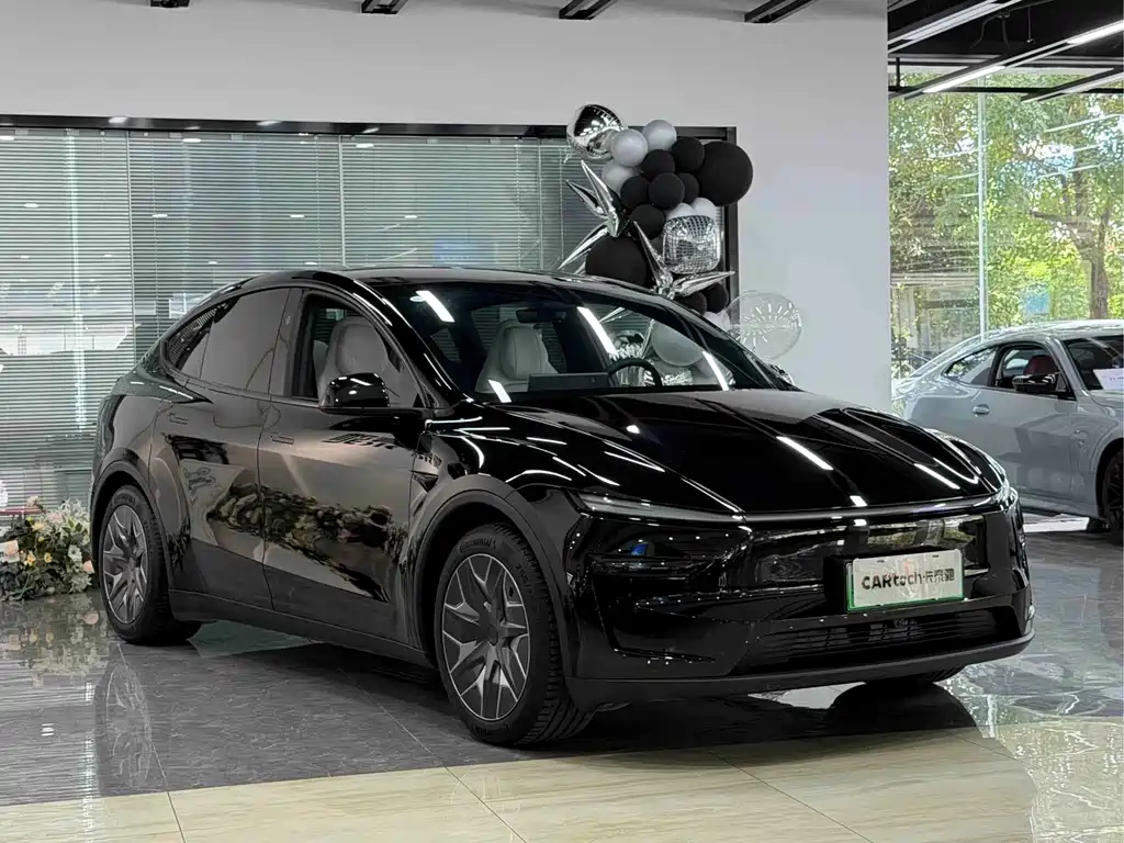 Tesla Model Y L — миниатюра 4