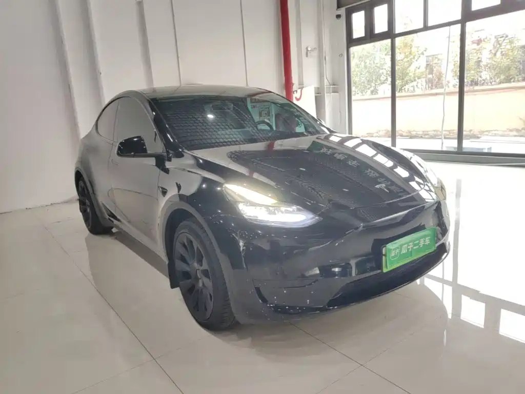 Tesla Model Y — миниатюра 4