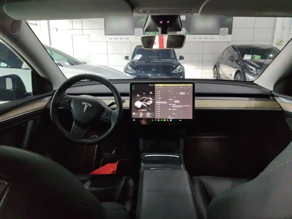 Tesla Model Y — миниатюра 10