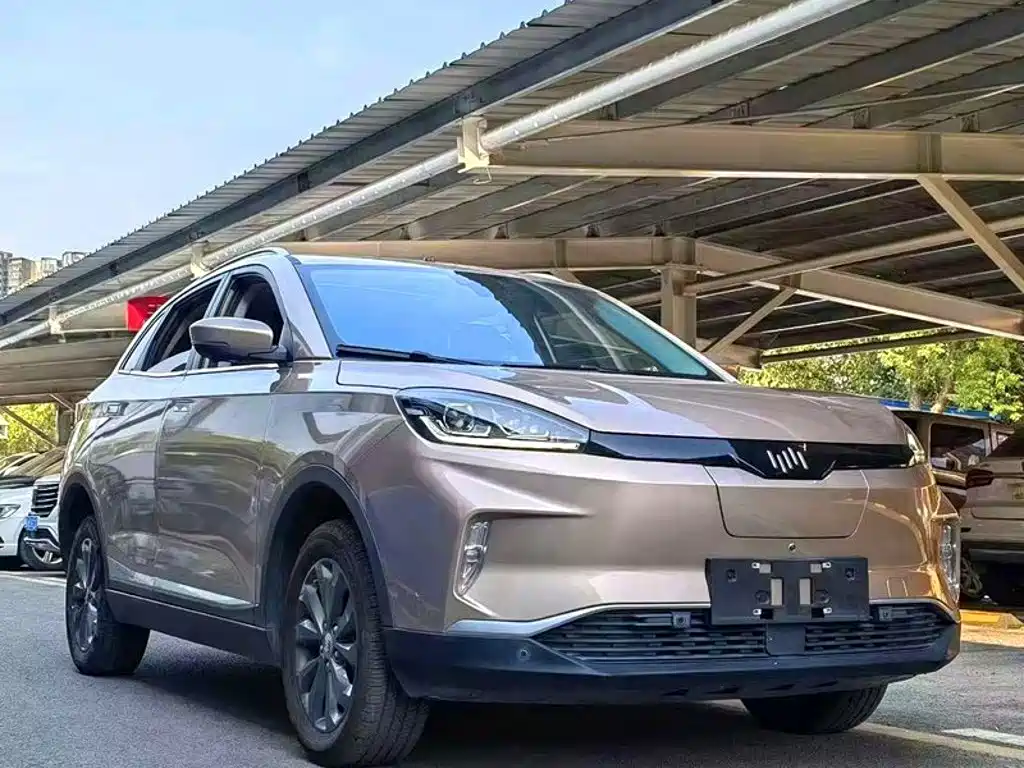 WM Motor EX5 — миниатюра 2