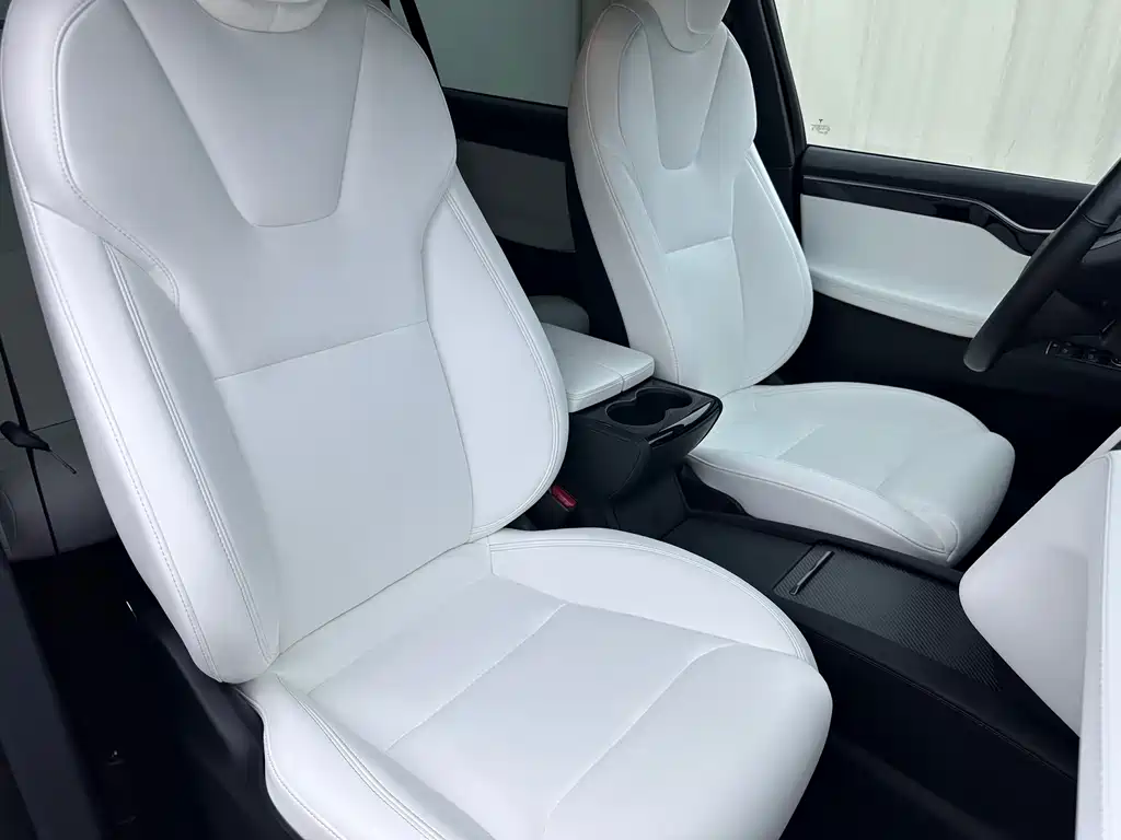 Tesla Model X — миниатюра 11