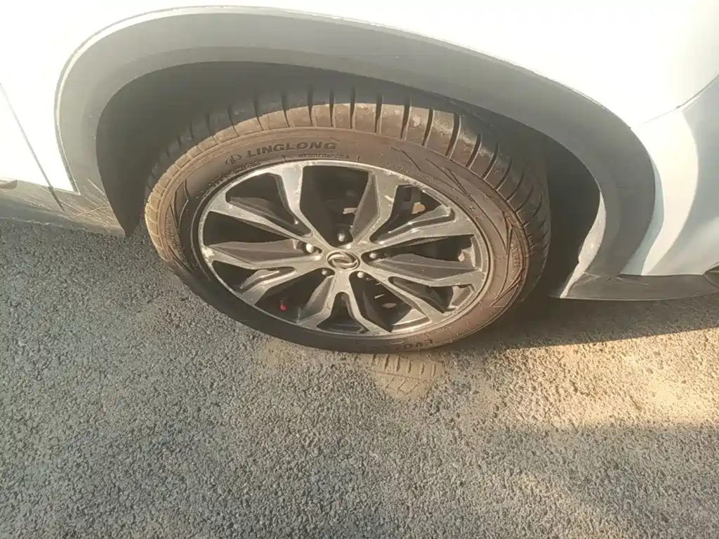 Fengxing X5 — миниатюра 12