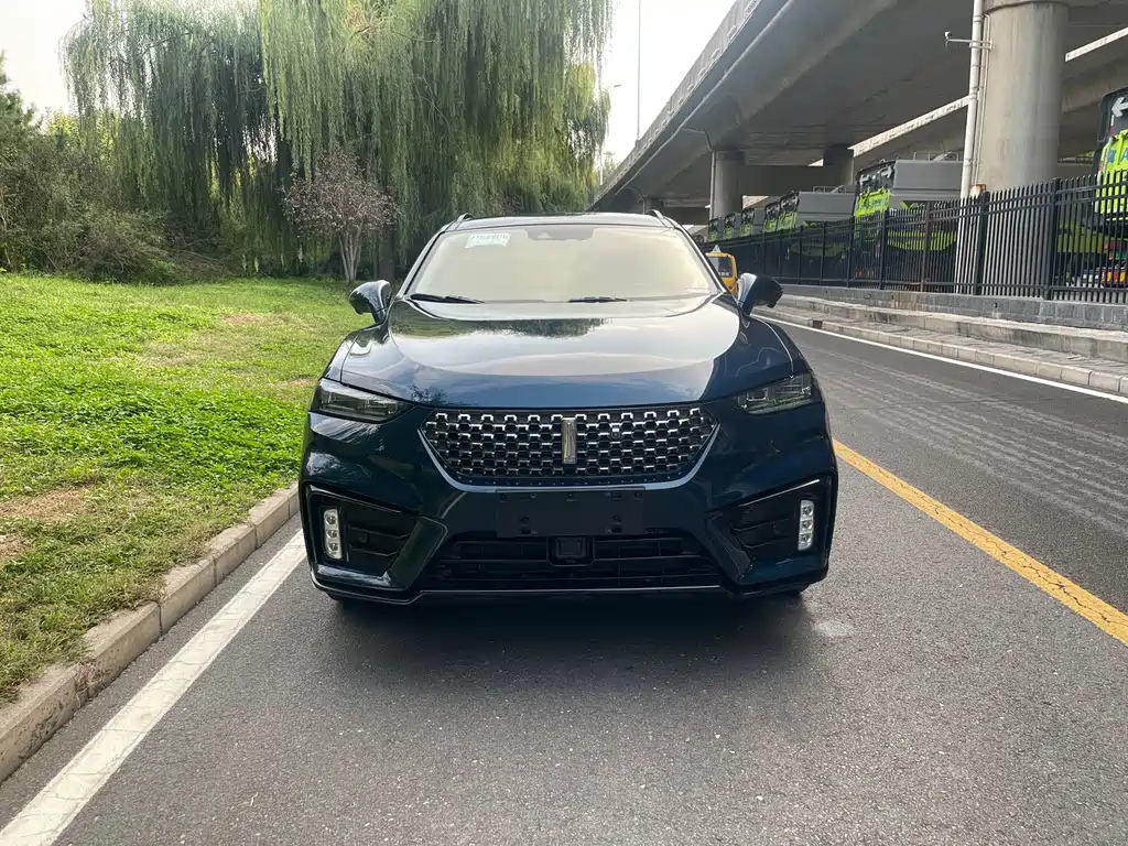 Wey Wey VV7 — миниатюра 2