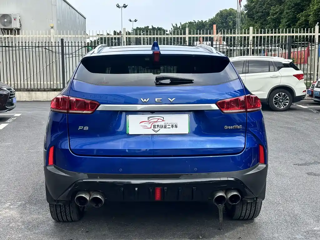 Wey Wey P8 — миниатюра 5