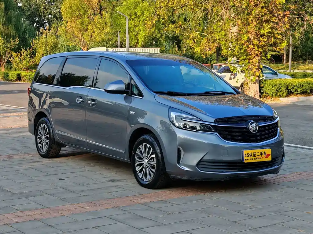 Buick GL8 — миниатюра 3