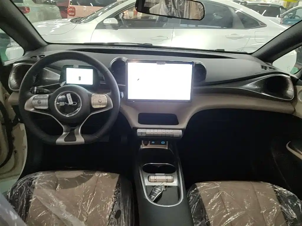 BYD Dolphin 2025 420km Freedom