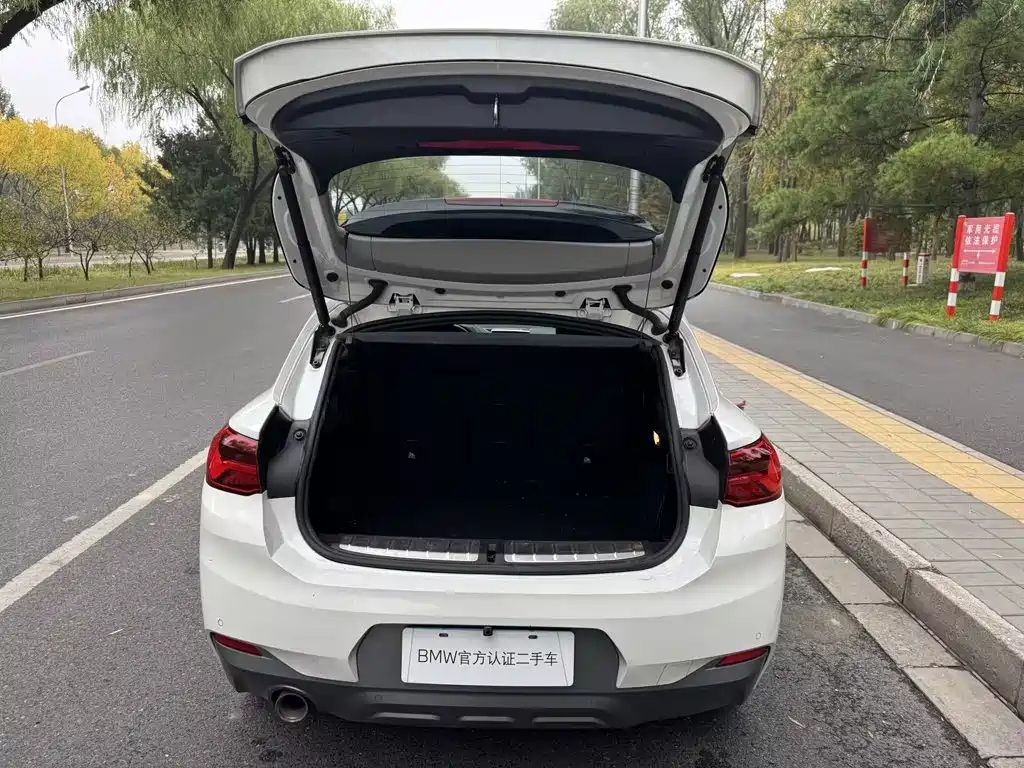 BMW X2 (Import) — миниатюра 13