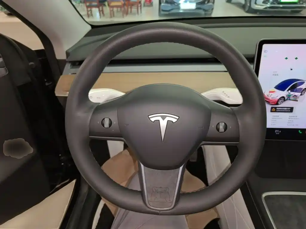 Tesla Model Y — миниатюра 11