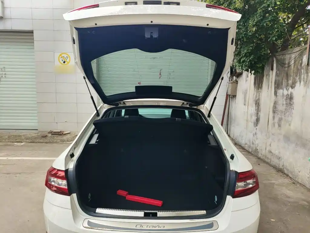 Skoda Octavia — миниатюра 19