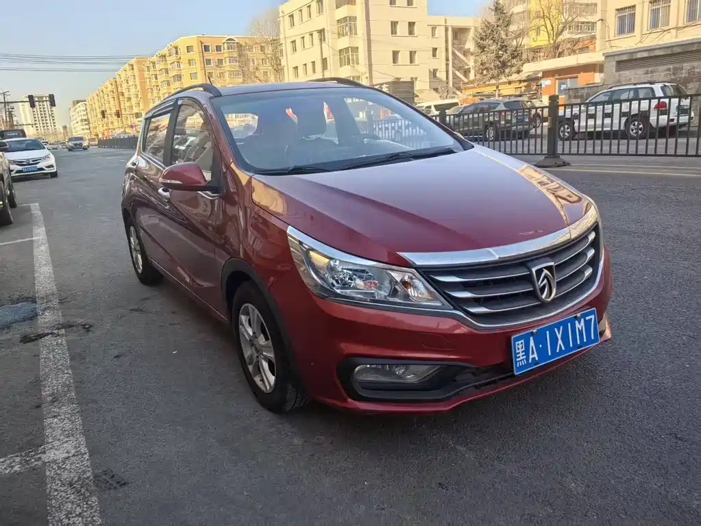BAOJUN 310