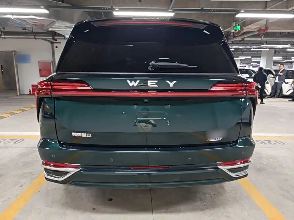 Wey Wey Lanshan — миниатюра 6