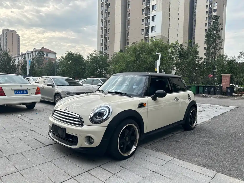 Mini Mini 2013