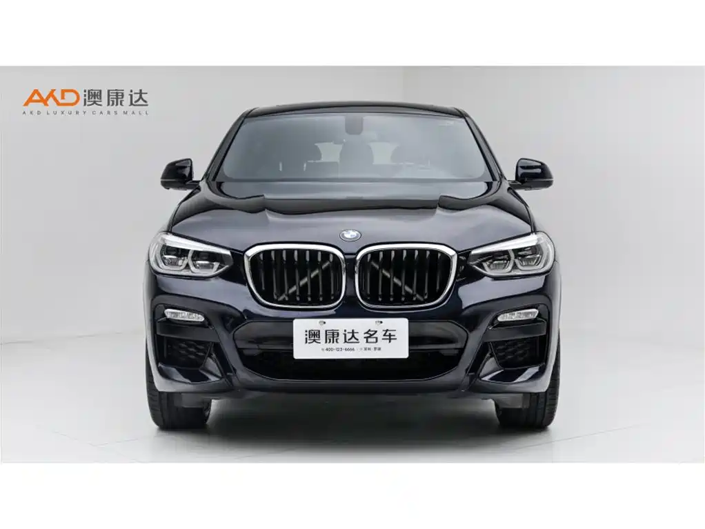 BMW X4 — миниатюра 2