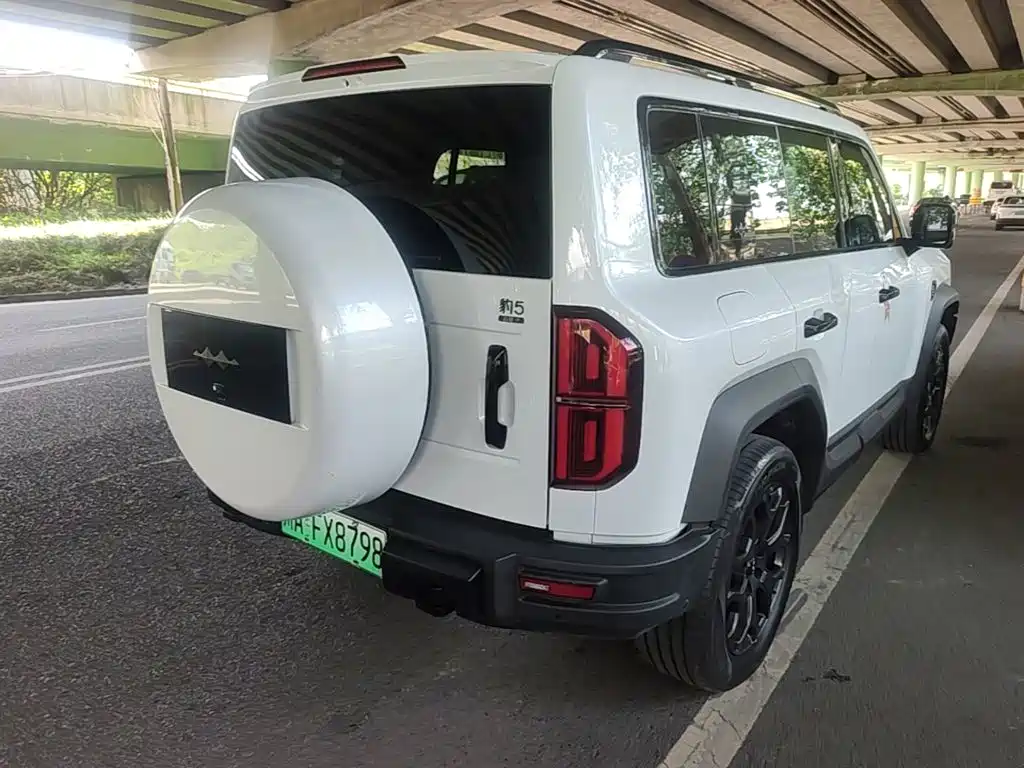 Fang Cheng Bao Leopard 5 — миниатюра 7